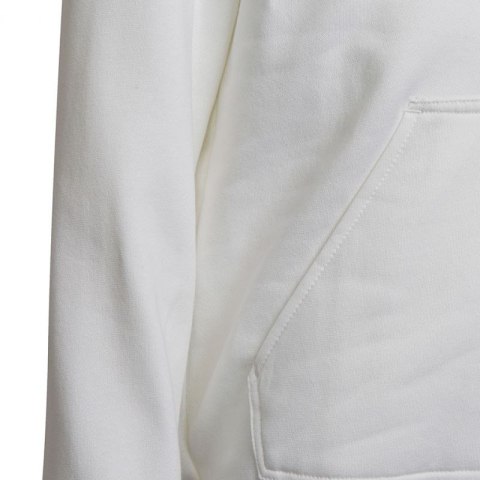 Bluza adidas Entrada 22 Hoody Jr HG6303