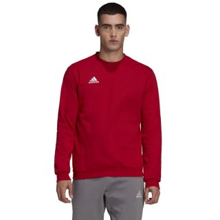 Bluza adidas Entrada 22 Sweatshirt M HB0577