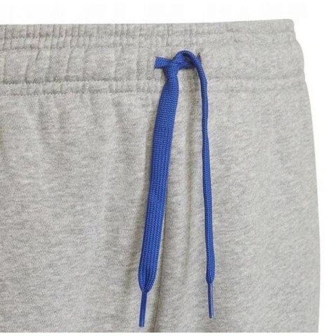 Spodnie adidas Trainings Jr HN6712