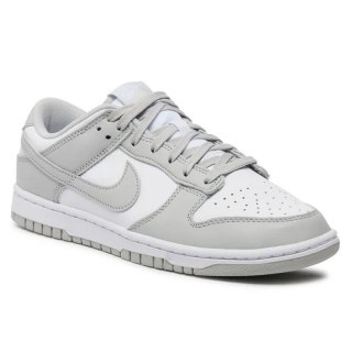 Buty Nike Dunk Low Retro M DD1391-103
