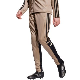 Spodnie adidas Squadra 25 Training Jr JP3371