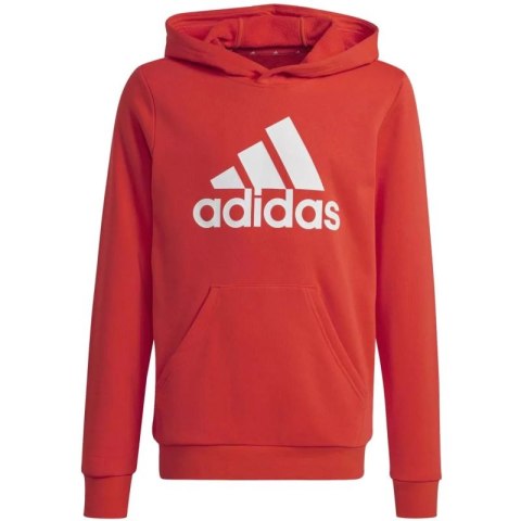 Bluza adidas Big Logo Hoodie Jr IX9531