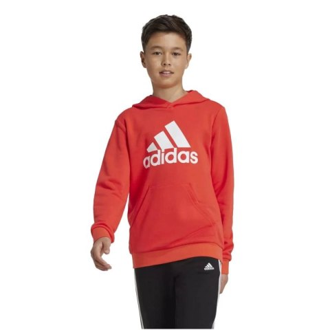 Bluza adidas Big Logo Hoodie Jr IX9531