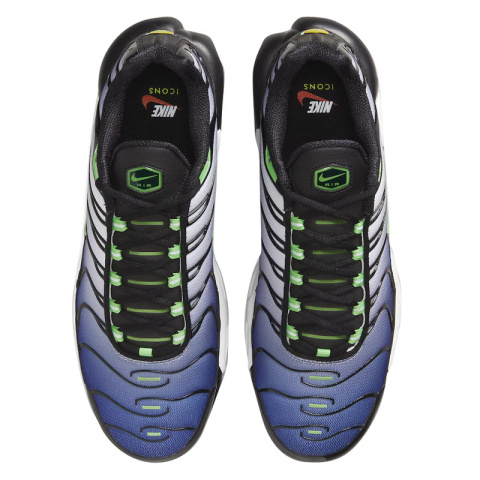 Nike Air Max Plus (GS) CD0609-021