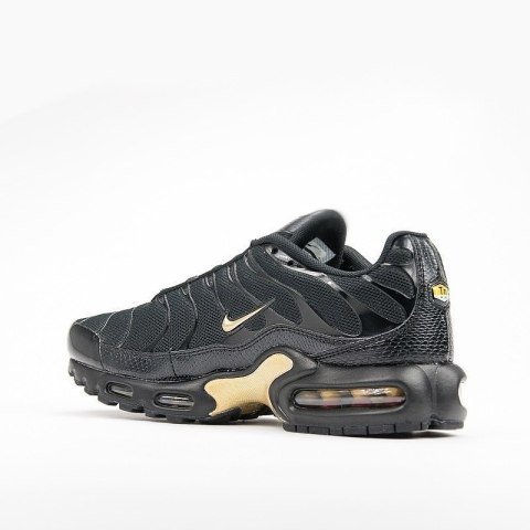 NIKE Air Max Plus TN Black Metalic Gold DC4118-001