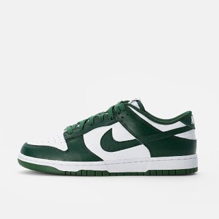 NIKE Dunk Low DD1391-101 Varsity Green